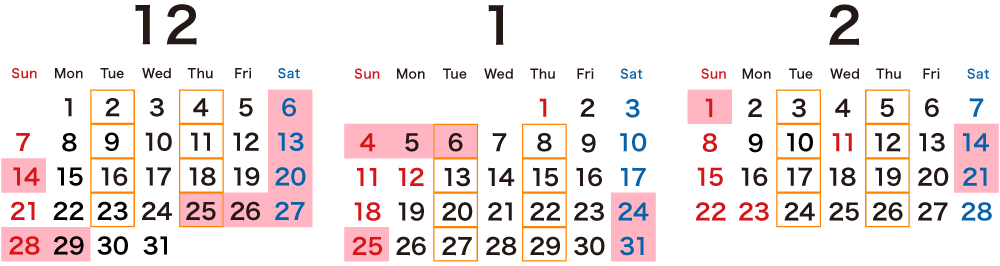 大学入試直前 全力集中〈冬期講習+週末〉Bパッケージ日程